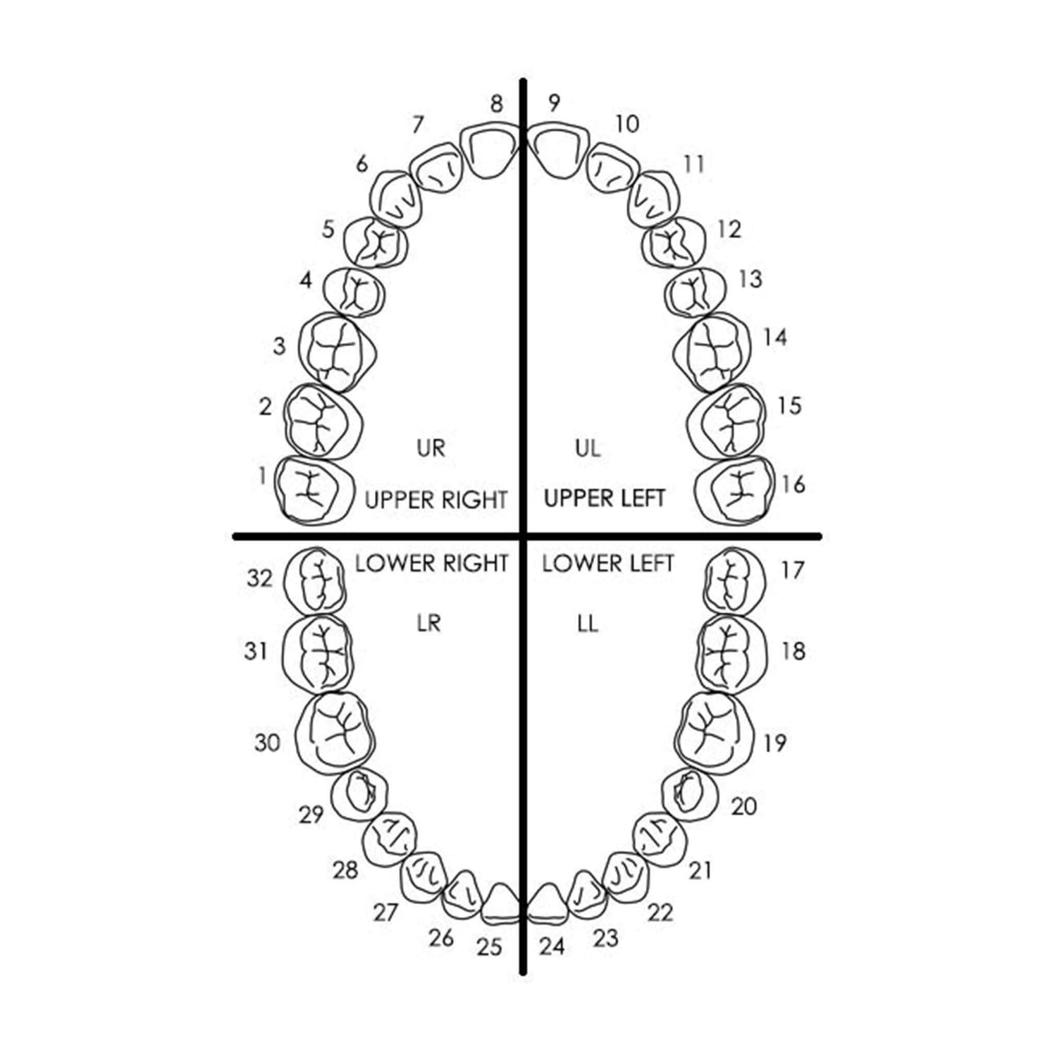 Scroll Gap Concealer