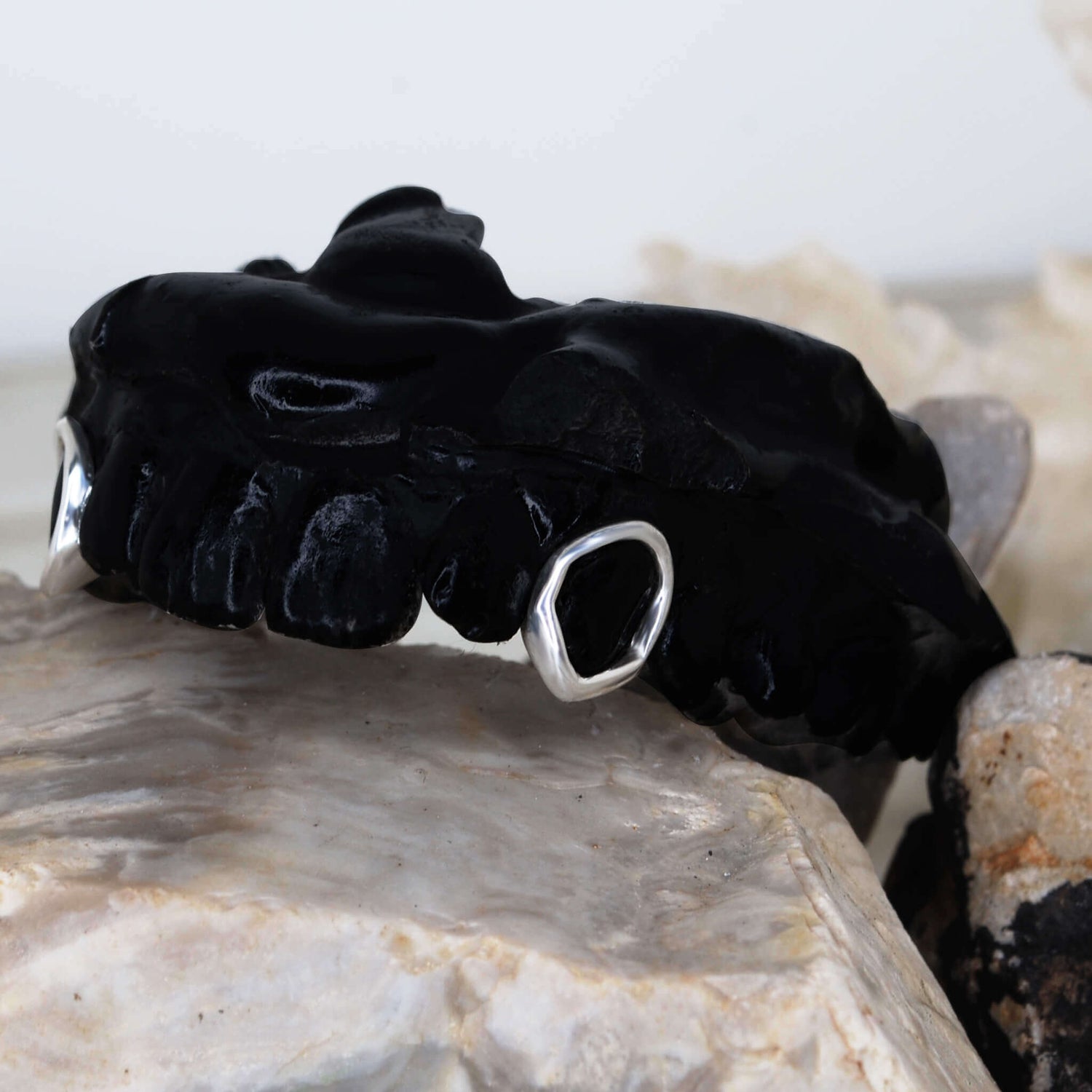 Fangs-Outline/ OpenFace